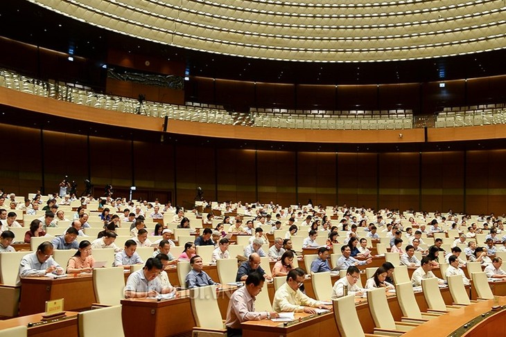 Assemblée nationale: la gestion des biens publics en débat - ảnh 1