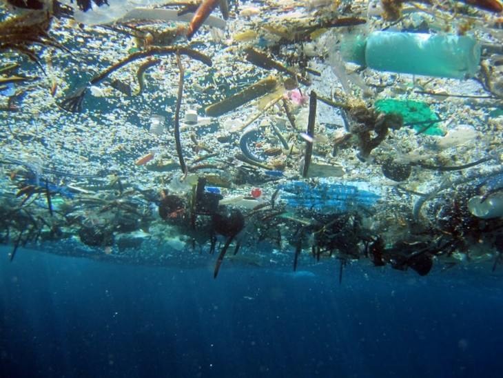 Vietnam responde al Día Mundial del Medio Ambiente y a la Semana del Mar y las Islas en 2018 - ảnh 1