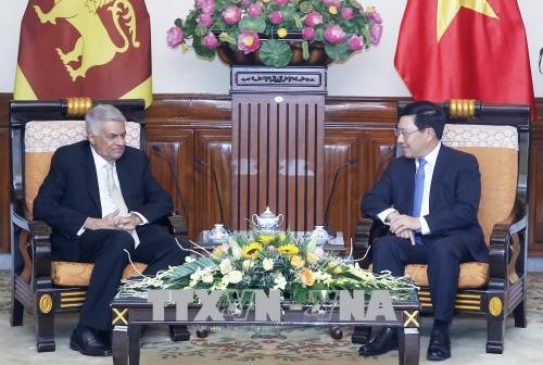 Entrevue Pham Binh Minh - Ranil Wickremesinghe - ảnh 1