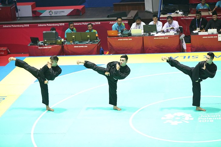 ASIAD 2018: le Vietnam décroche 2 médailles d’argent pour le pencak silat - ảnh 1