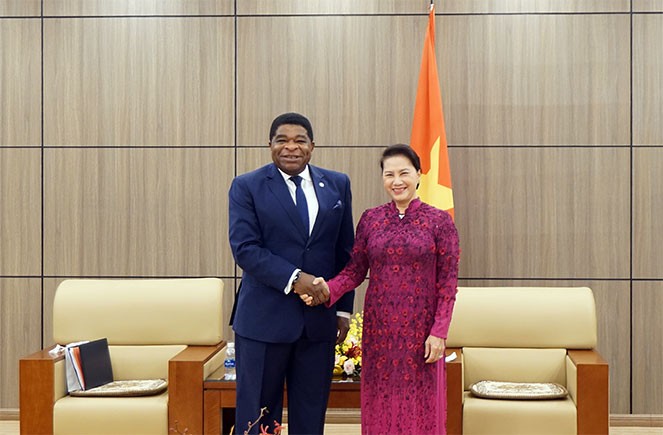 L’Assemblée nationale vietnamienne se mobilise pour le développement durable  - ảnh 1