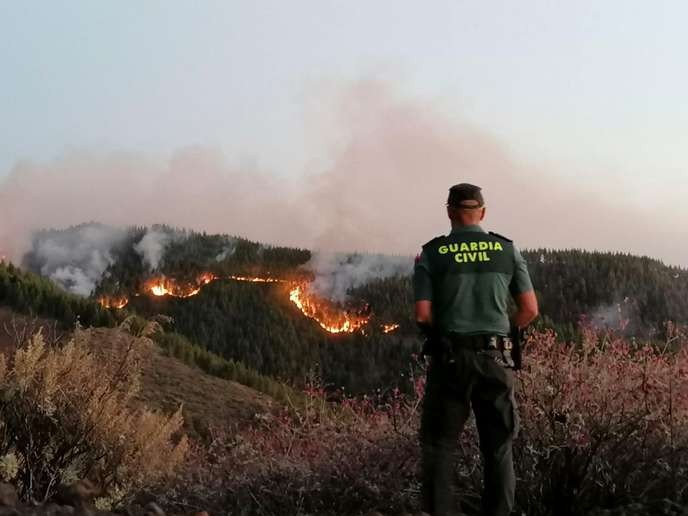 Une partie de l’Europe touchée par des incendies de forêts - ảnh 1