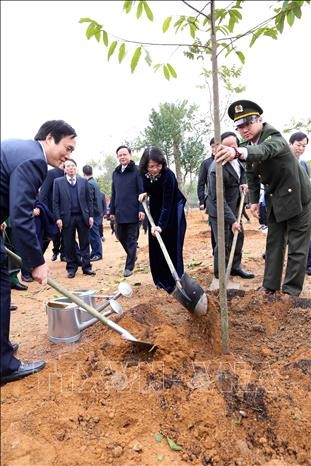 Dang Thi Ngoc Thinh à la fête de plantation d'arbres de Viêt Tri - ảnh 1