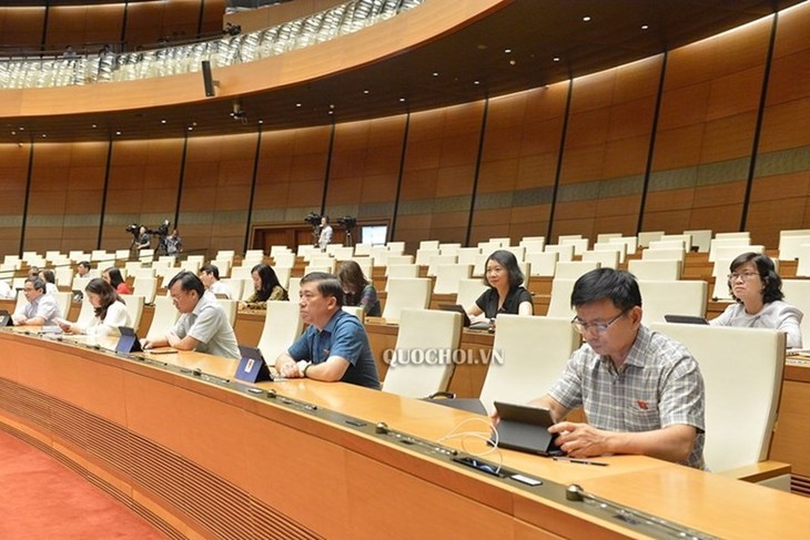 Assemblée nationale: Favoriser l’accès des politiques préférentielles aux investisseurs - ảnh 1