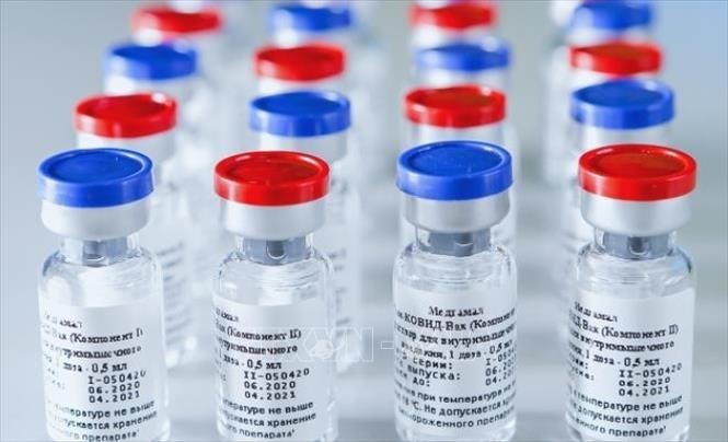 Covid-19: la vaccination de masse volontaire en Russie commence dans un mois - ảnh 1