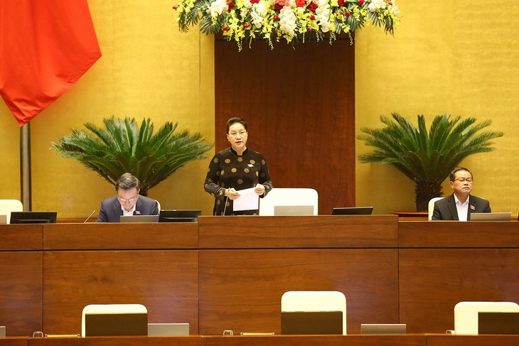 10e session de l’Assemblée nationale: début de la deuxième phase - ảnh 2