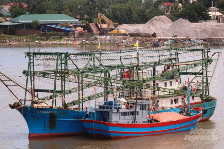 Pêche: le Vietnam va mettre en place des journaux de bord électroniques - ảnh 1