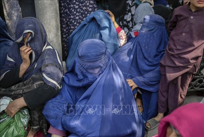 Afghanistan: le chef des talibans ordonne de protéger les droits des femmes - ảnh 1