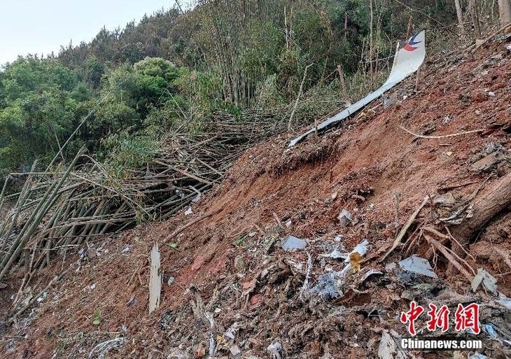 Xi Jinping exhorte à déployer tous les efforts à la suite du crash aérien - ảnh 1