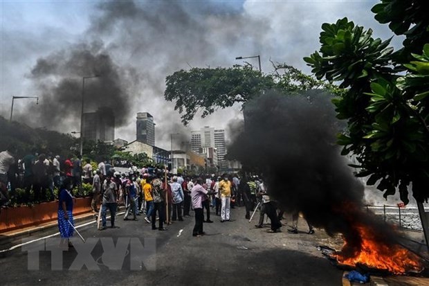 L'ONU demande des investigations indépendantes au Sri Lanka - ảnh 1