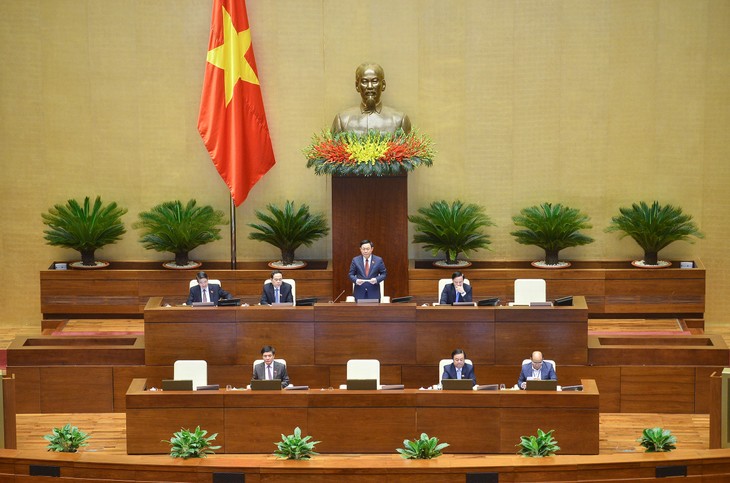 Assemblée nationale:  des séances particulièrement riches et constructives - ảnh 1