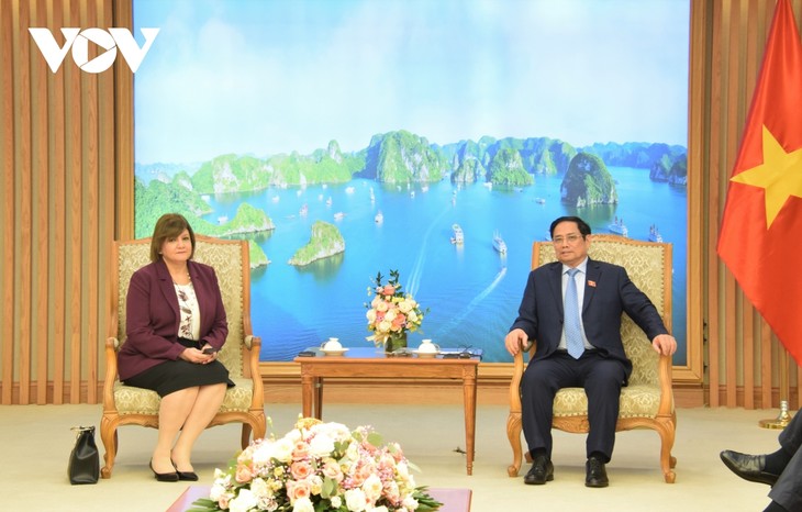 L’ambassadrice d’Égypte reçue par Pham Minh Chinh - ảnh 1