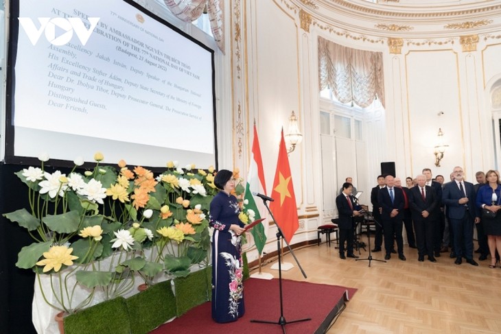 La fête nationale du Vietnam célébrée à l’étranger - ảnh 1