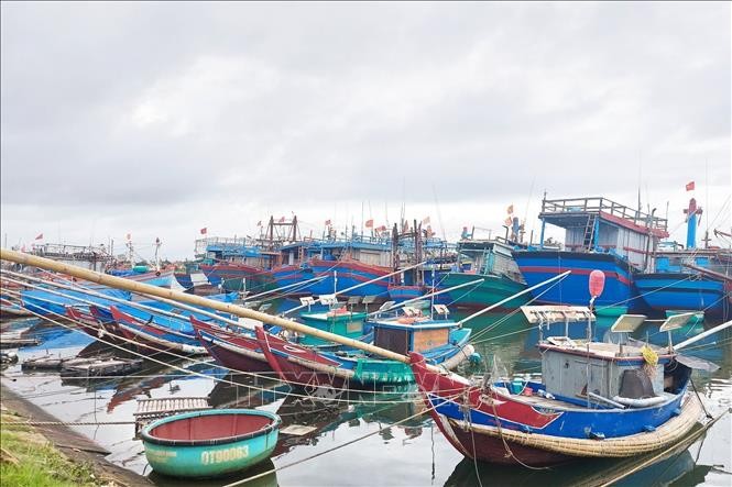 Les provinces littorales se préparent à l’arrivée du typhon Nesat - ảnh 1