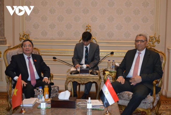 Nguyên Duc Hai achève sa visite en Égypte - ảnh 1