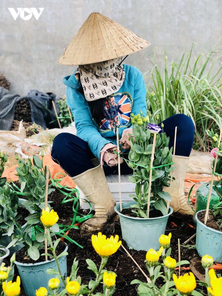 Làng hoa Phó Thọ - Bà Bộ những ngày giáp Tết - ảnh 11