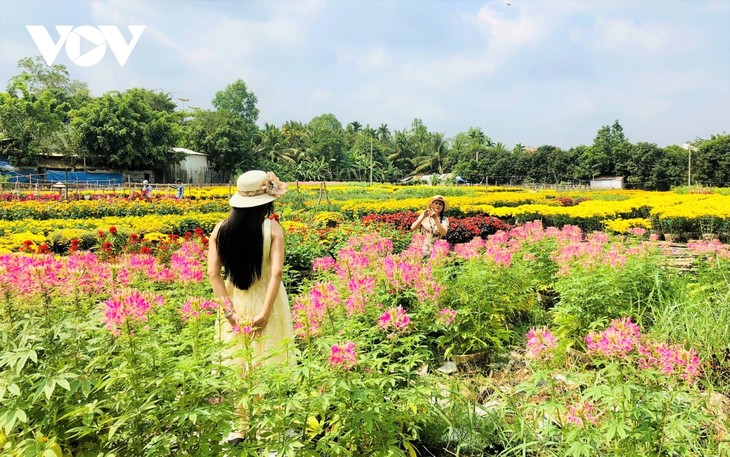 Làng hoa Phó Thọ - Bà Bộ những ngày giáp Tết - ảnh 13