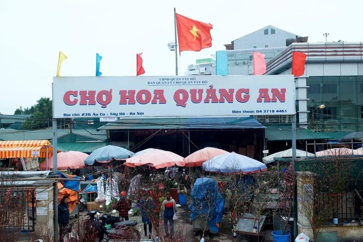 Chợ hoa Quảng An rộn ràng sắc hương những ngày cận Tết - ảnh 1