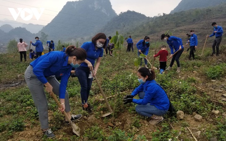 Nhiều hoạt động ý nghĩa, thiết thực trong Tháng Thanh niên 2021 - ảnh 3