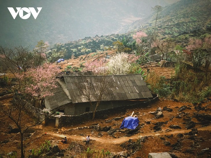 Thanh xuân, nhất định phải đi Hà Giang một lần - ảnh 6