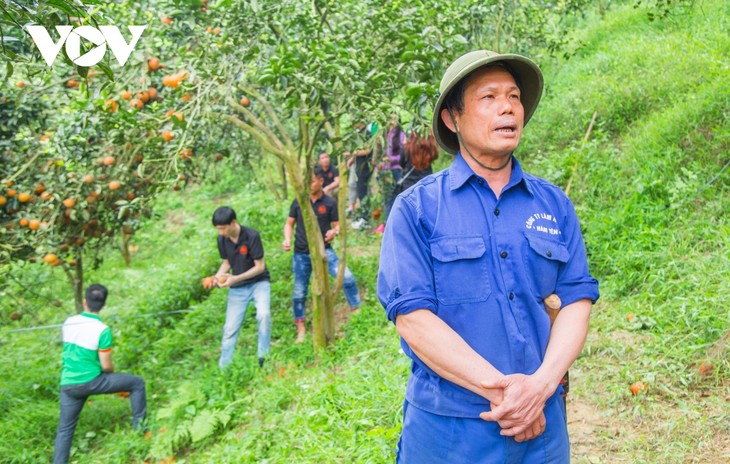 Giải cứu cam sành, phát miễn phí cho bệnh nhân tại Hà Nội - ảnh 2