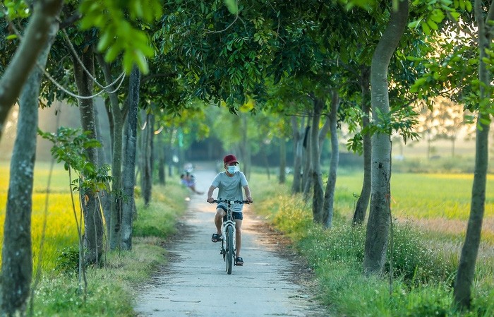 Đẹp ngây ngất mùa lúa chín ở ngoại ô Hà Nội - ảnh 6