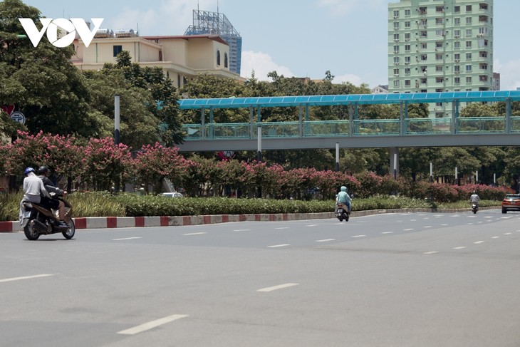 Ngắm hoa tường vi khoe sắc trên con đường từng được mệnh danh “đẹp nhất Việt Nam“ - ảnh 3