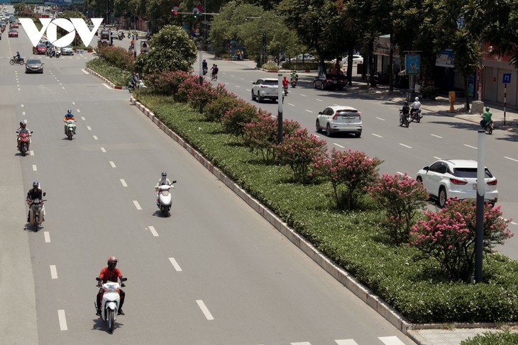 Ngắm hoa tường vi khoe sắc trên con đường từng được mệnh danh “đẹp nhất Việt Nam“ - ảnh 2