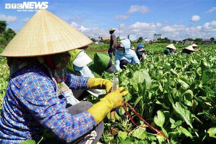 Tình người trong đại dịch ở Thành phố Hồ Chí Minh - ảnh 3