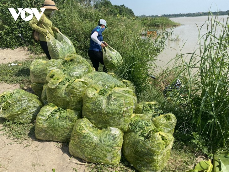 Những bó rau 0 đồng tình nghĩa ấm lòng người dân bị phong tỏa giữa Hà Nội - ảnh 5