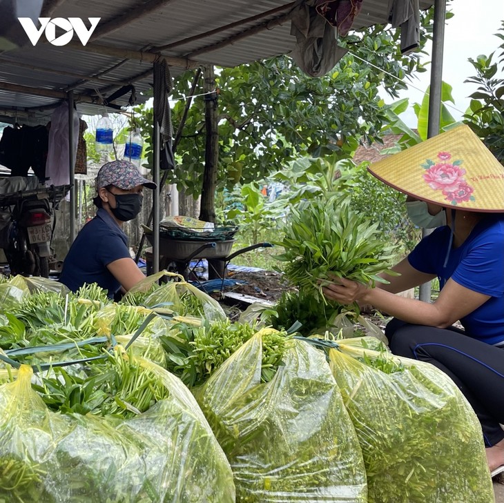 Những bó rau 0 đồng tình nghĩa ấm lòng người dân bị phong tỏa giữa Hà Nội - ảnh 2