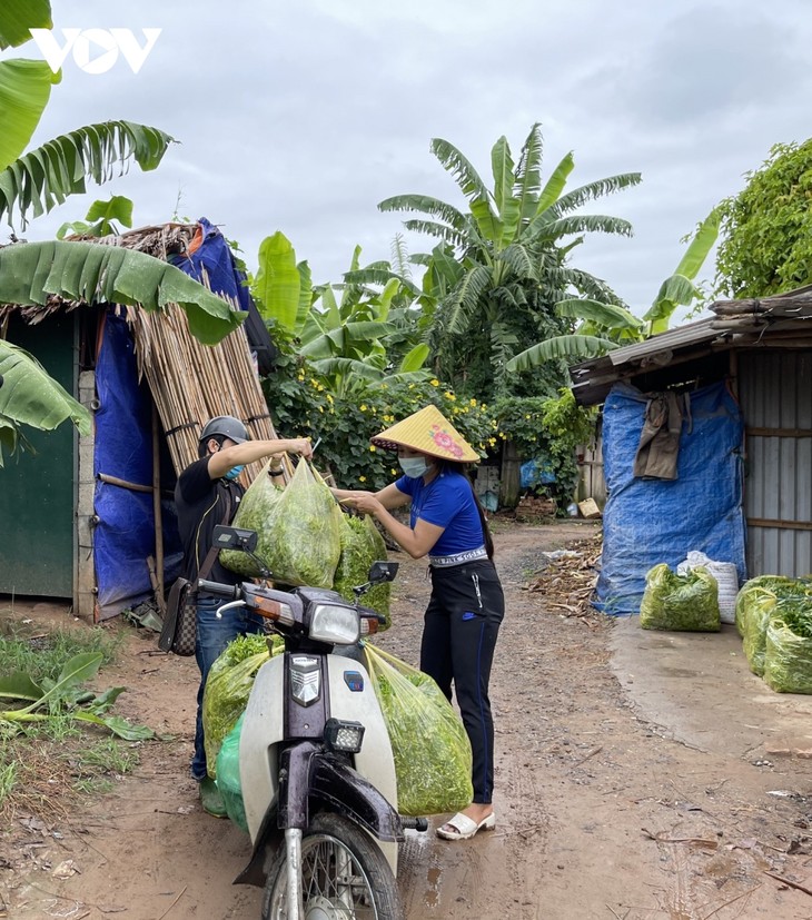 Những bó rau 0 đồng tình nghĩa ấm lòng người dân bị phong tỏa giữa Hà Nội - ảnh 4