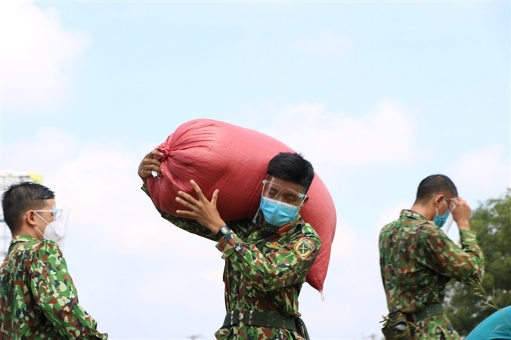 Bộ đội xuống đồng giúp nông dân TP.HCM thu hoạch lúa trong mùa dịch - ảnh 10