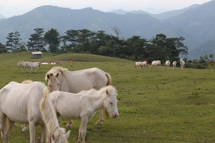 Thăm “bạch mã” ở thảo nguyên Khau Sao, Lạng Sơn - ảnh 6