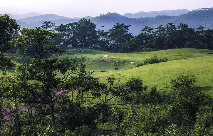 Thăm “bạch mã” ở thảo nguyên Khau Sao, Lạng Sơn - ảnh 2