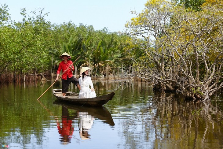 Vẻ đẹp rừng ngập mặn Rú Chá ở Huế mùa thay lá - ảnh 12