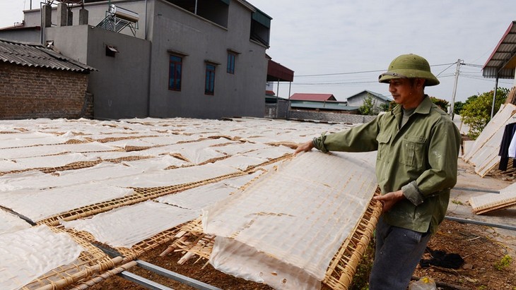 Sản phẩm Mỳ Chũ ở Lục Ngạn, Bắc Giang - ảnh 5