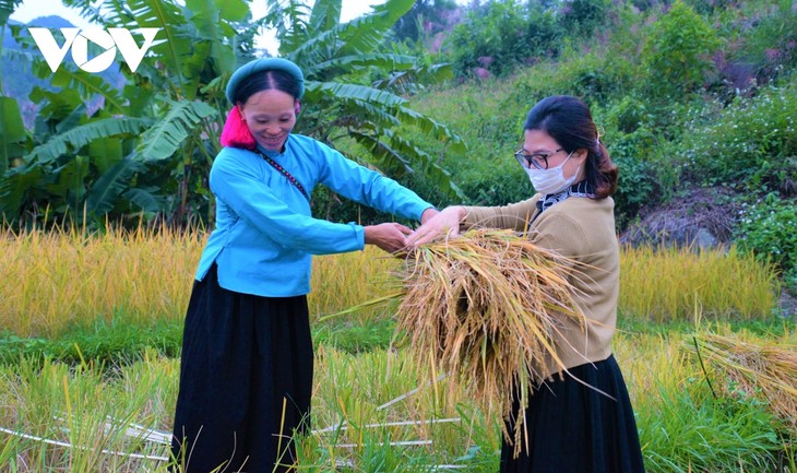 Bình Liêu mùa đông - điểm đến ấn tượng cho du khách - ảnh 5