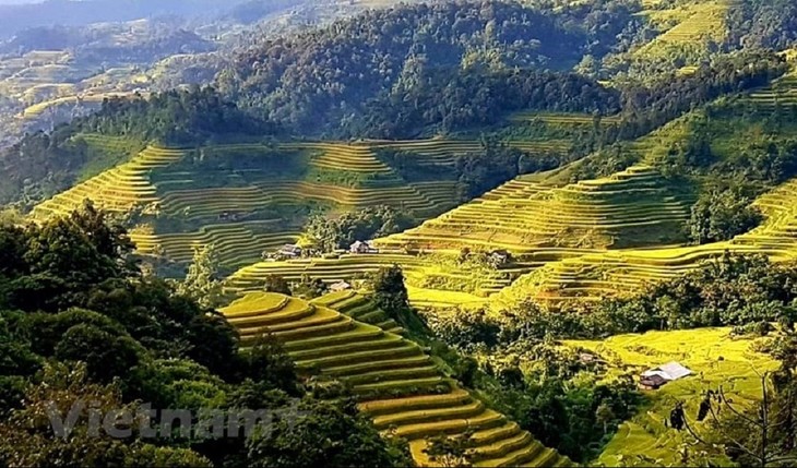 Vẻ đẹp ruộng bậc thang bản Phùng ở Hà Giang - ảnh 3