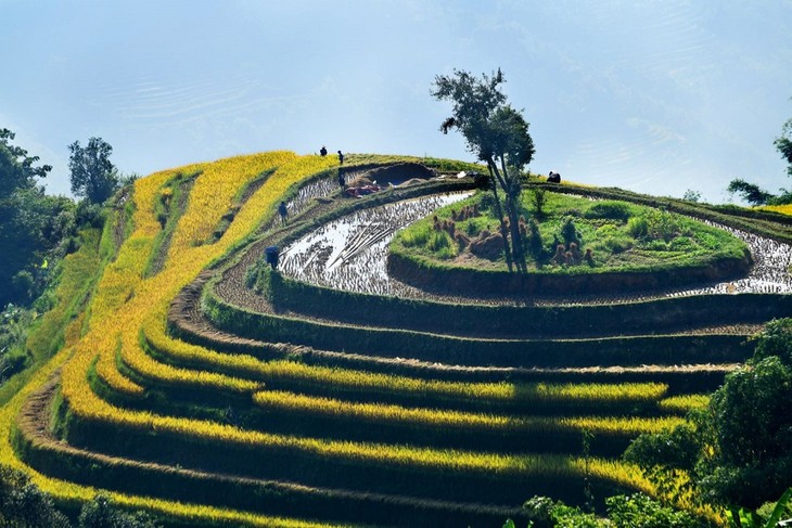 Vẻ đẹp ruộng bậc thang bản Phùng ở Hà Giang - ảnh 8