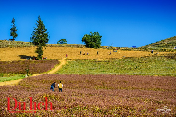 Vẻ đẹp thảo nguyên Suôi Thầu, Hà Giang - ảnh 10