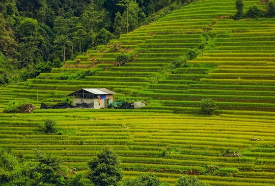 Vẻ đẹp bình yên Nậm Cang - Sa Pa - ảnh 5