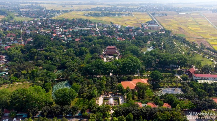 Vẻ đẹp hoa sen tháng 5 ở quê hương Chủ tịch Hồ Chí Minh - ảnh 1