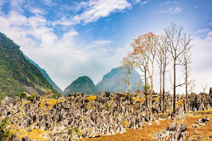 Vẻ đẹp huyện Tủa Chùa, Điện Biên - ảnh 2