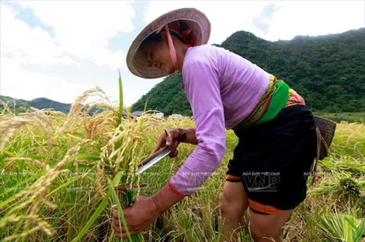 Khám phá vẻ đẹp Lũng Vân, Hòa Bình  - ảnh 9