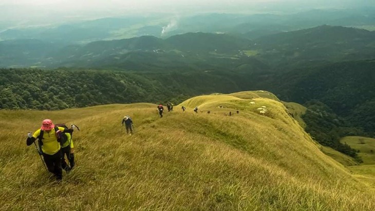 Khám phá núi Phia Po, Lạng Sơn - ảnh 8