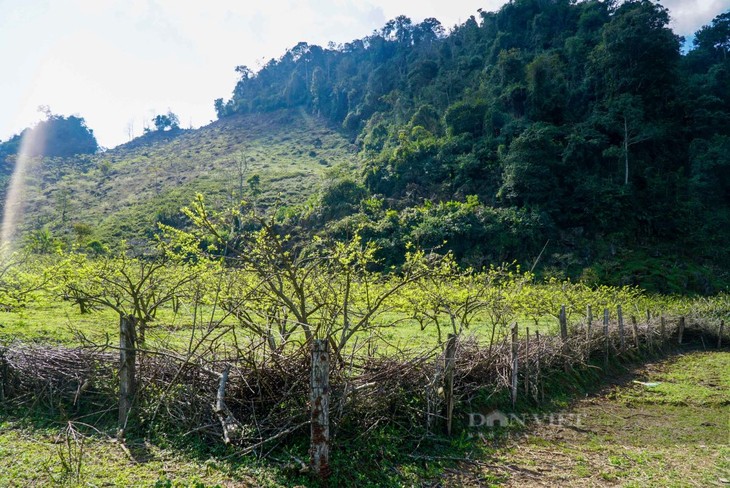 Khám phá ngôi làng nguyên sơ “Hang Táu”, Mộc Châu, Sơn La - ảnh 5