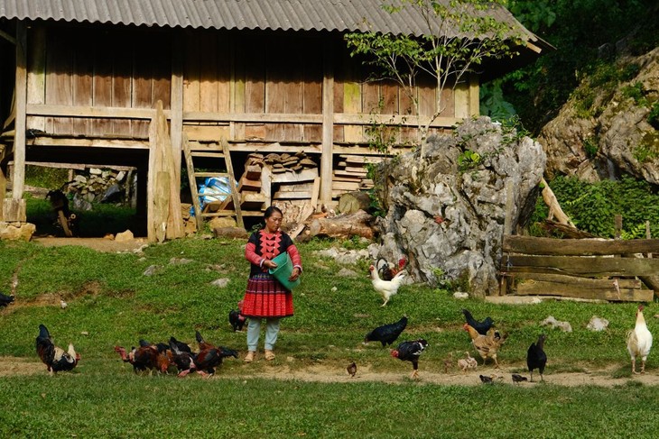 Khám phá ngôi làng nguyên sơ “Hang Táu”, Mộc Châu, Sơn La - ảnh 6