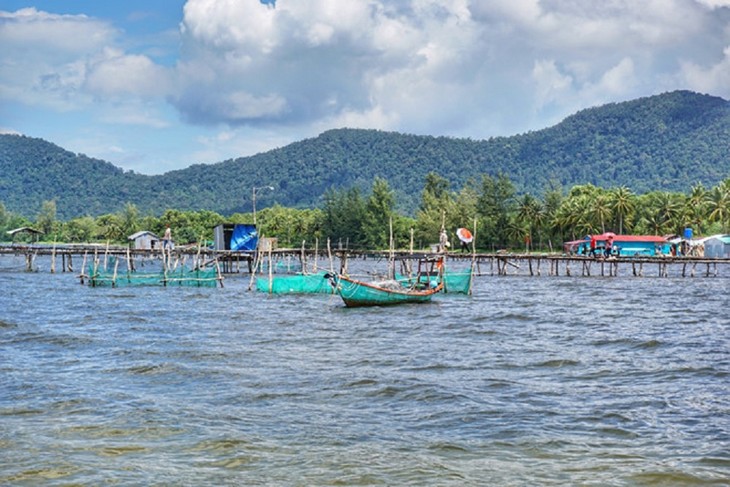 Khám phá làng chài Rạch Vẹm, Kiên Giang - ảnh 2