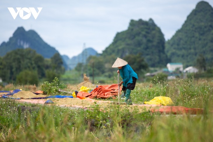 Non nước hữu tình nơi dòng Quây Sơn - ảnh 10